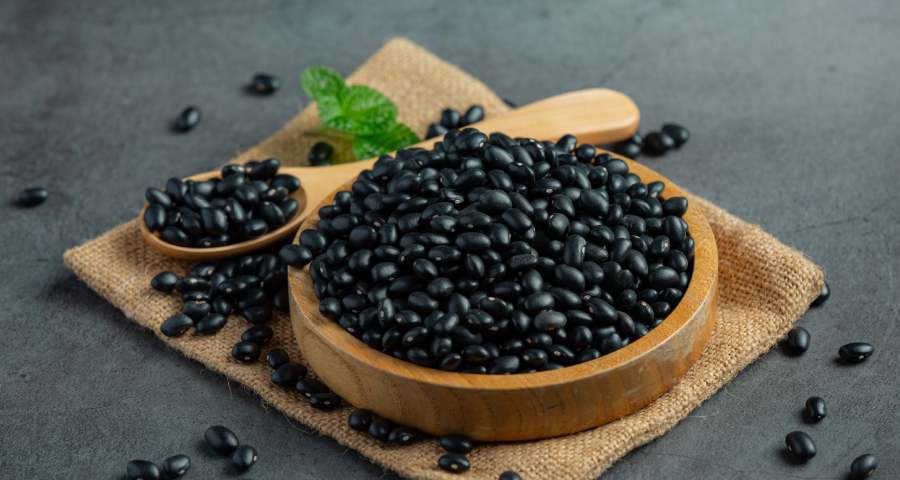 khasiat kedelai hitam