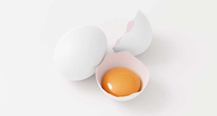 putih kuning telur