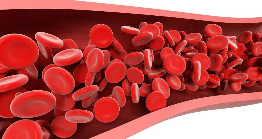 peran gula darah supergoat pembuluh darah rusak