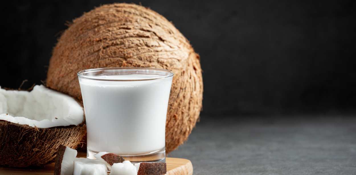 manfaat coconut milk