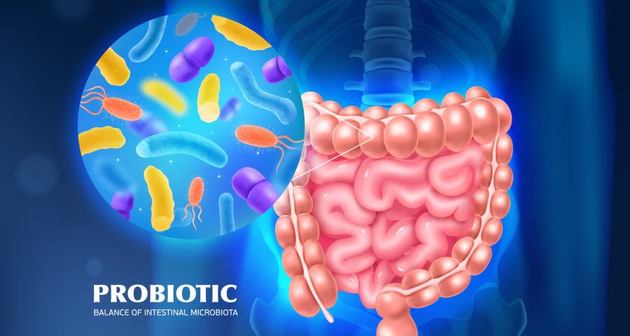probiotik usus manfaat probiotik