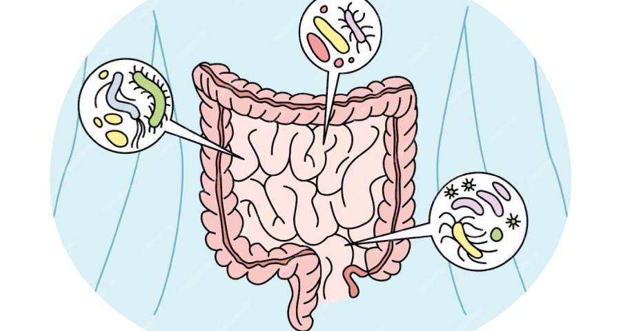 sistem pencernaan kebiasaan merusak pencernaan