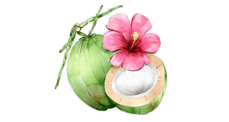 kelapa muda serat merah