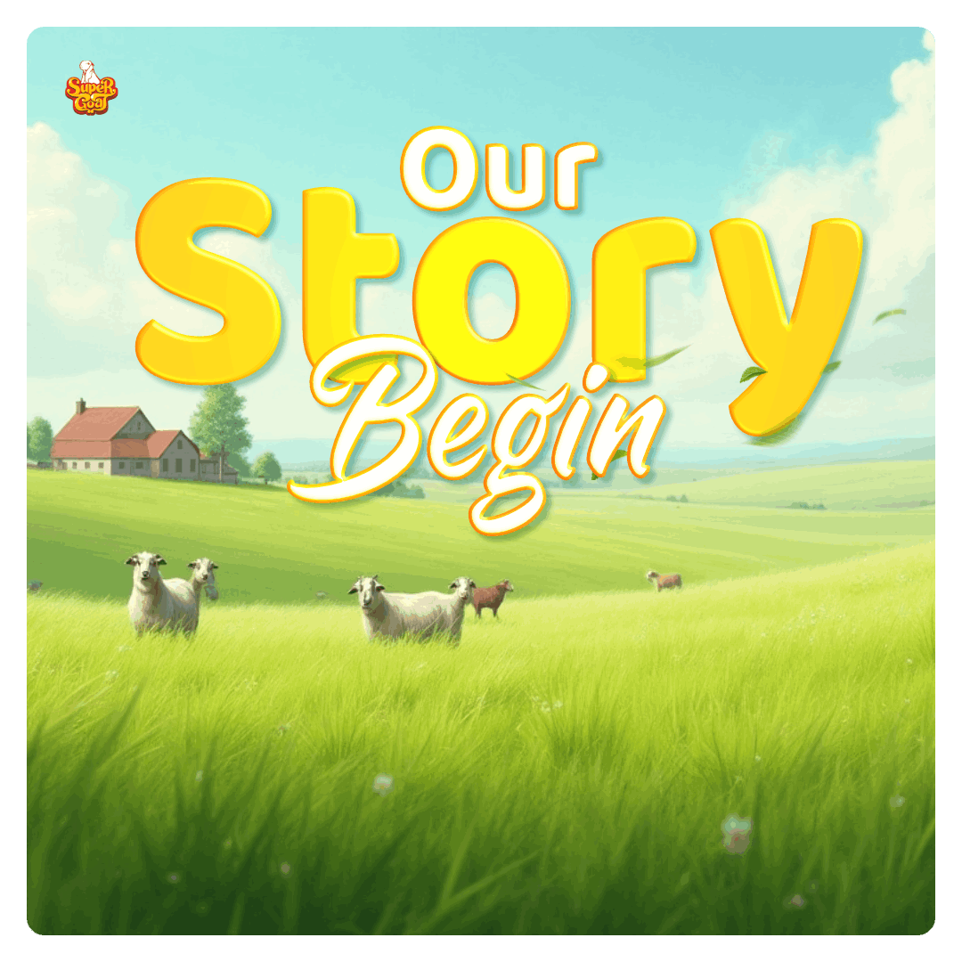 our-story-begin-1-1